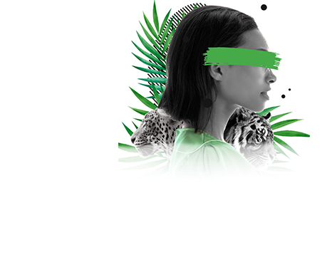 custom_web_design-min