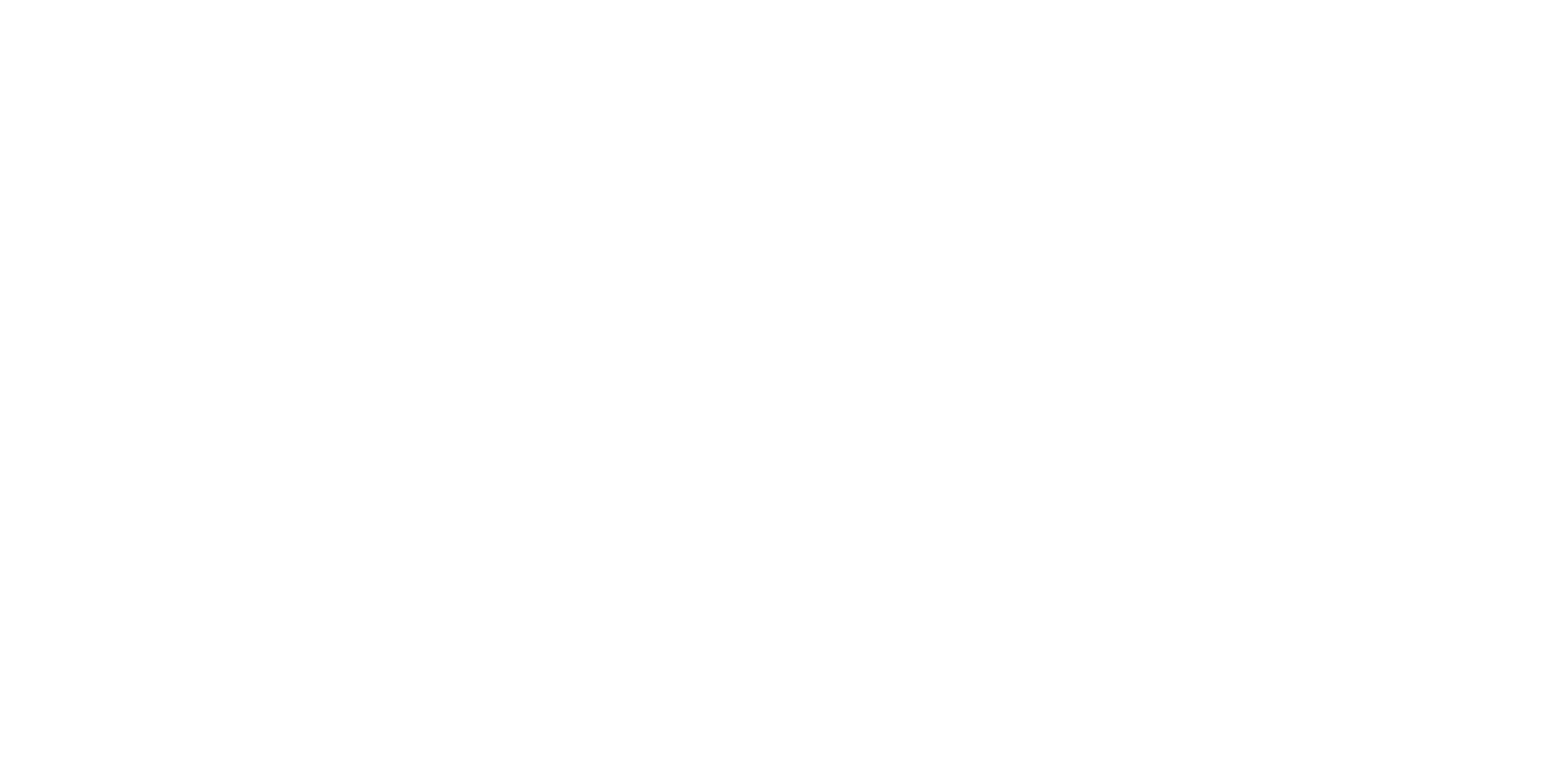 DS Logo